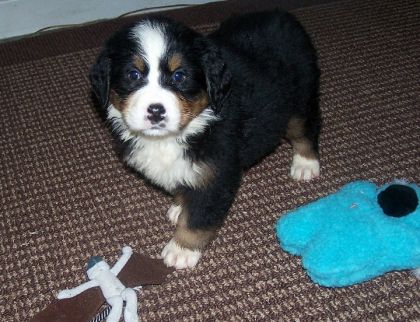 Encore ma chienne! Je t'adore Cannellelou!(surnom!)