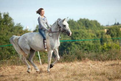 a cheval dans la campagne