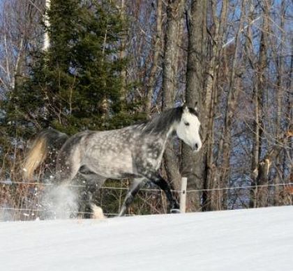 Eole: course dans la blancheur!