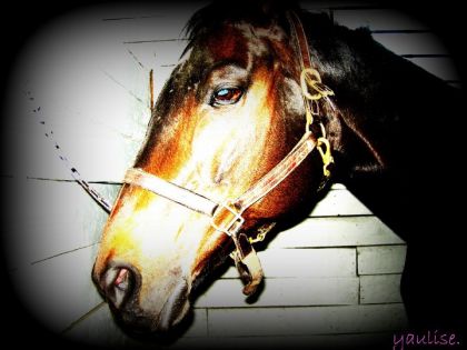 mon beau Grinch. (: