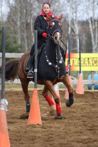 Sur ma jument au gymkhana amateur déguiser le 29 octobre 2011....