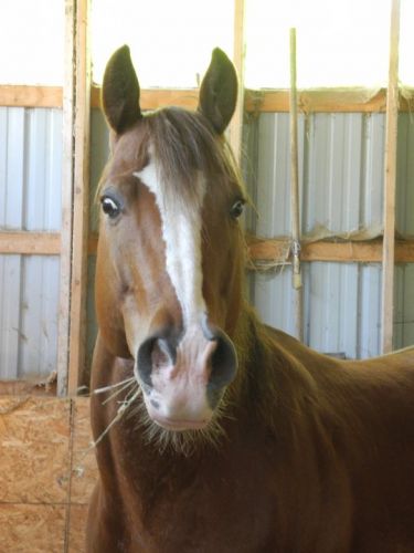 photo par Tassilo27