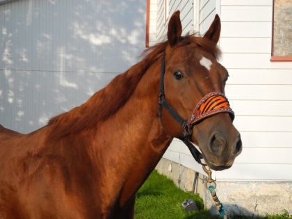 photo par Tassilo27