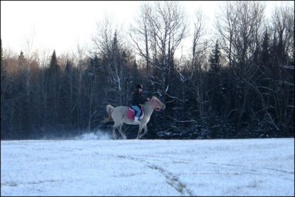 Avec la neige qui revole et ma magnifique salih, jadore cette...