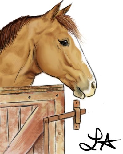 Dessin d'un cheval qui passe la tête par la porte de son boxe =)...