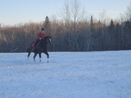 Moi et Fidelle en rando dans la neige :)