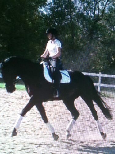 Mon cheval et moi, septembre 2011 :)