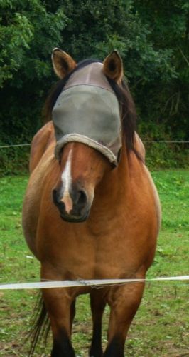 Été 2011 :) 