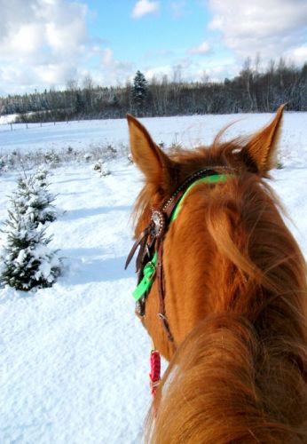 Petite balade en cette belle journée d'Hiver!