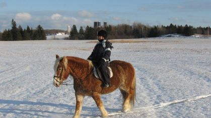une belle journée d'hiver
