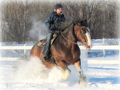 Moi et ma jument l'hiver dernier