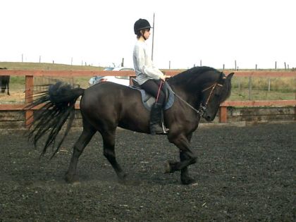 moi sur Diablo, mon cheval 