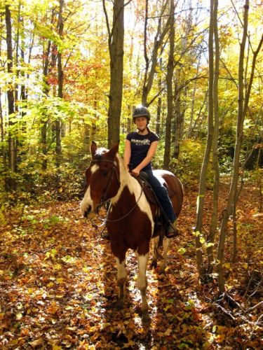 La dernière randonnée faite avec Sky mon acien cheval