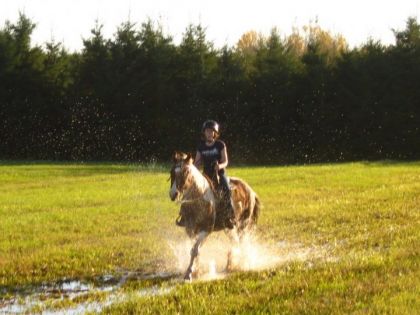La dernière randonnée faite avec Sky mon acien cheval. 