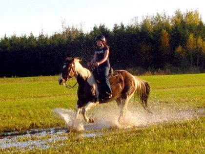 La dernière randonnée faite avec Sky mon acien cheval