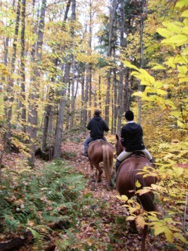 Les trails à mon écurie ! (en automne)