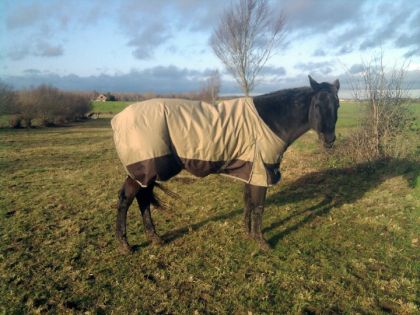 Max et sa couverture légère et imperméable. Génial pour affronté...