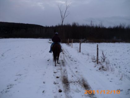 mon papa sur Lucky en randonnée ! :) J'apprécie tellement qu'il...