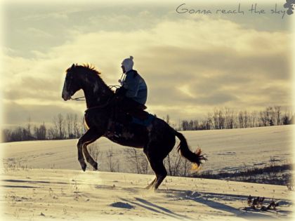 photo par Jenn24 Morice qui me fait un beau petit cabré sur demande en plus :-)...