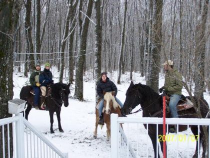 Plusieurs personnes à cheval