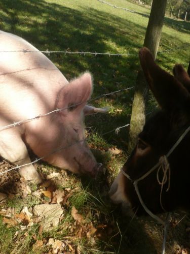 rencontre insolite! =)
