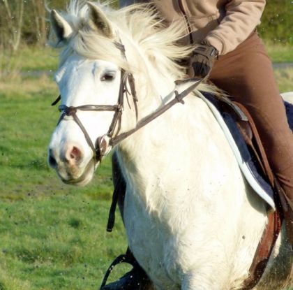 photo par Cloo