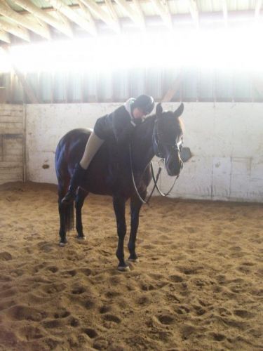 Moi et mon cheval 