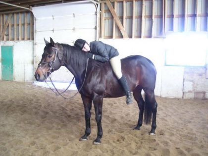 Moi et mon cheval 