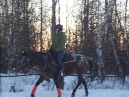 Molly et moi (29 déc. 2011, monte par une journée glaciale ! )