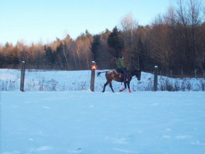 Molly et moi dans un beau paysage d'hiver ! (29 déc. 2011, monte...