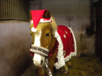 Joyeux noël
