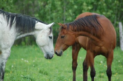 L'amour (: