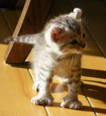 Adorable!
