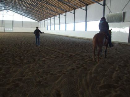 allain allard qui me donne les notions de reining