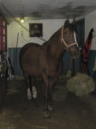 Pour toi AudeAbby c Athena a matin :)
