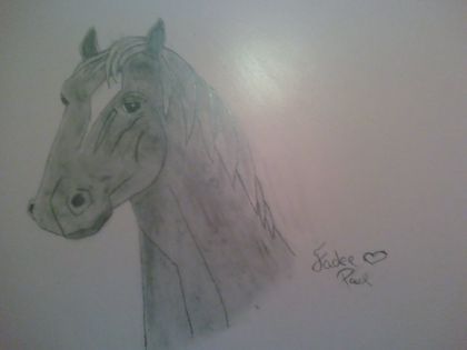 dessin que jai fait sur le mur de ma chambre sa ma pris 1heure