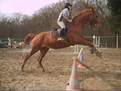 photo par angedor