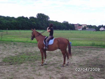 photo par angedor