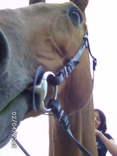 photo par angedor
