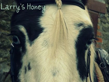 Larry's Honey &#9829;