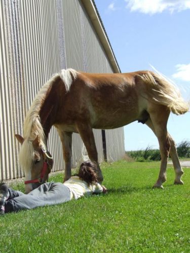 La perle rare ce poulain.<3