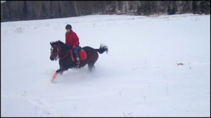 Un beau galop dans la neige ! :)
