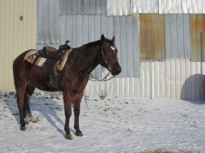 Mon bébé avant de partir en randonnée Lundi le 9 Janvier 2012 ! 