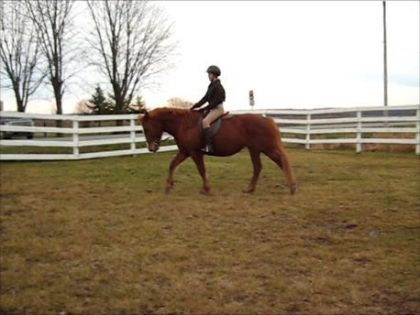 Moi et Praline, entrainement.