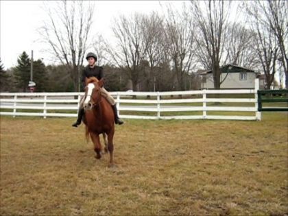Moi et Praline, entrainement.