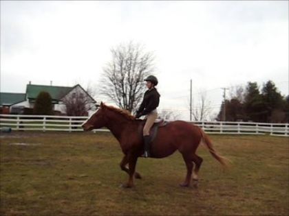 Moi et Praline, entrainement.