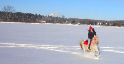 Apres un an et demi sans monter western, je m'ennuyais ! :)