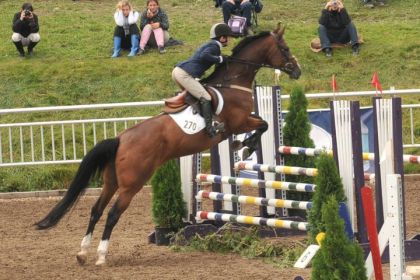 JEQ 2010