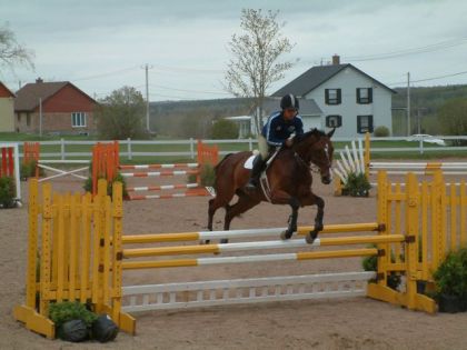 manu en concours avec berdant dancer