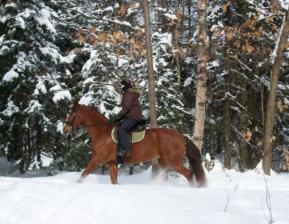 Nous 2 en rando, 22 janvier 2012! :)